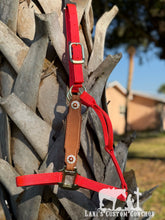 Orange Reflective Halter Average