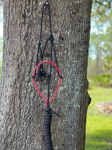 Red Nose Paracord Halter