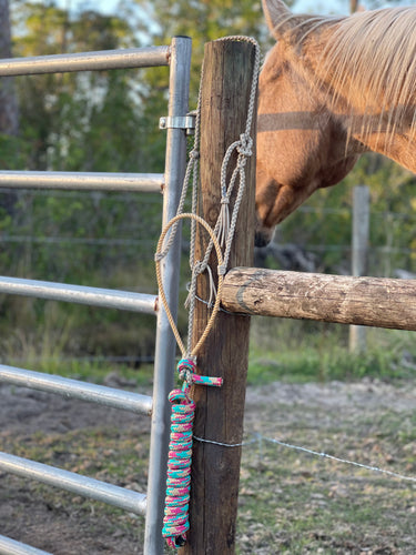 The Palomino Paracord Halter