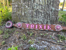 Custom Dog Collar