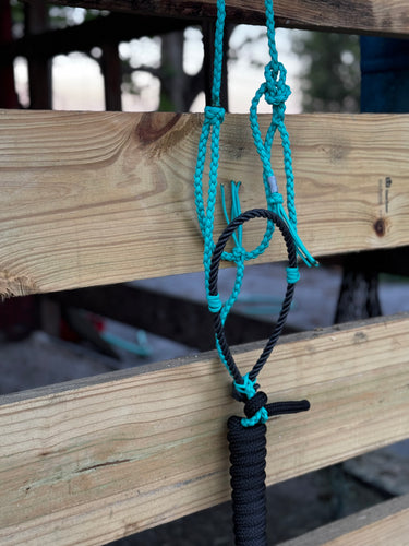 Turquoise & Black Paracord Pony Halter