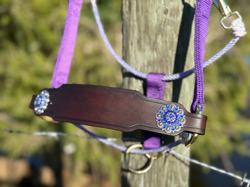 Purple Heliotrope & Sapphire AB Small Bronc Halter