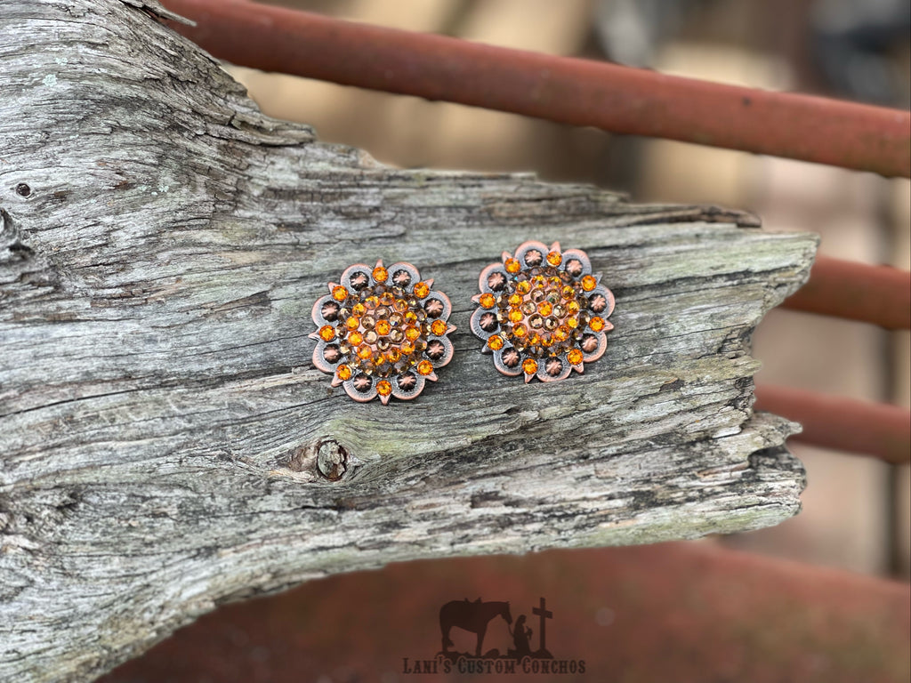 Burnt Honey Concho – Lani's Custom Conchos & Tack