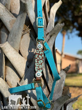 Turquoise Cheetah Halter Average
