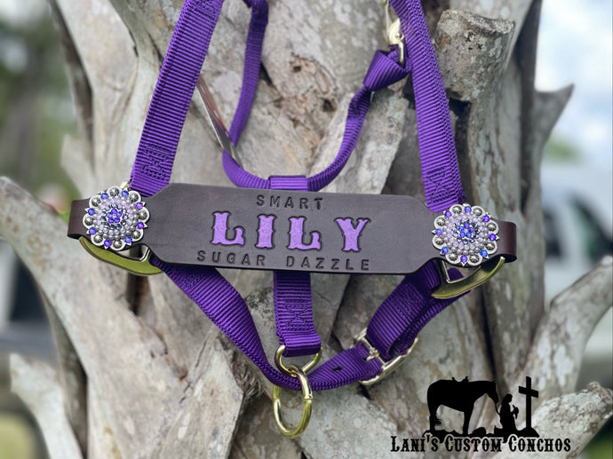 Lily Halter