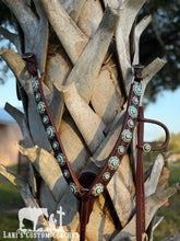 Custom DFT Straight Breastcollar