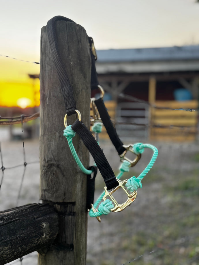 Turquoise & Black Hyper Pony Halter