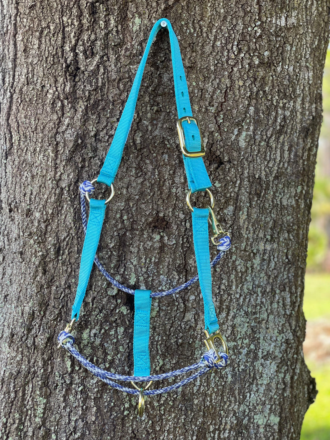 Average Hybrid Halter Turquoise & Blue