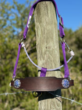 Purple Heliotrope & Sapphire AB Small Bronc Halter