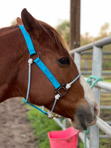 Average Hyper Halter Turquoise