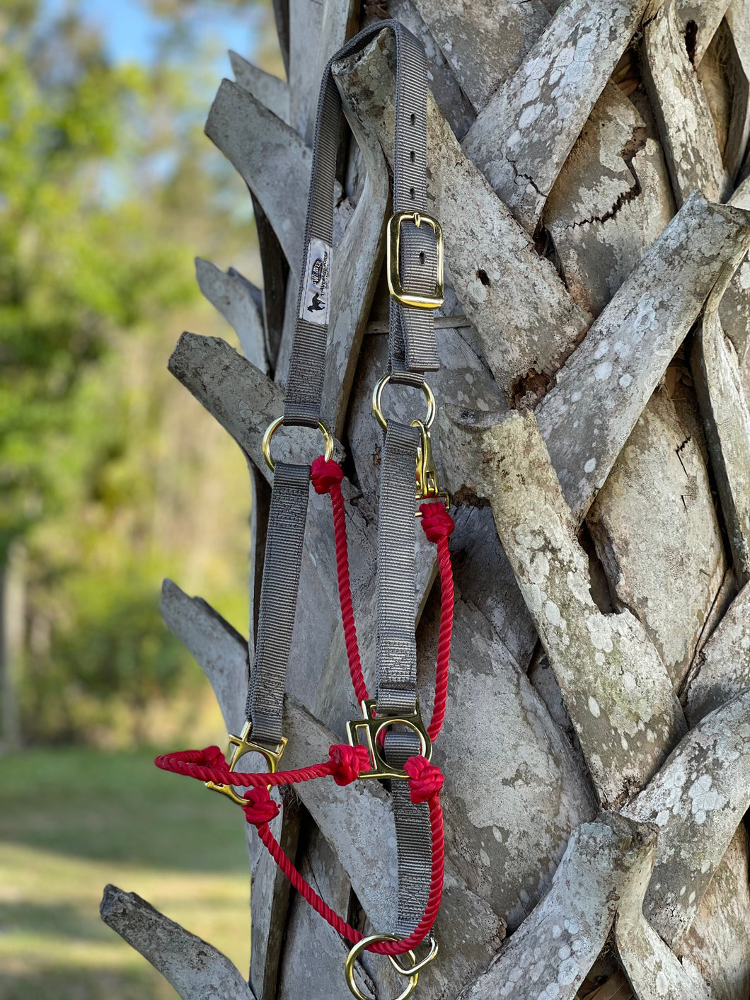 Average Hybrid Halter Grey & Red