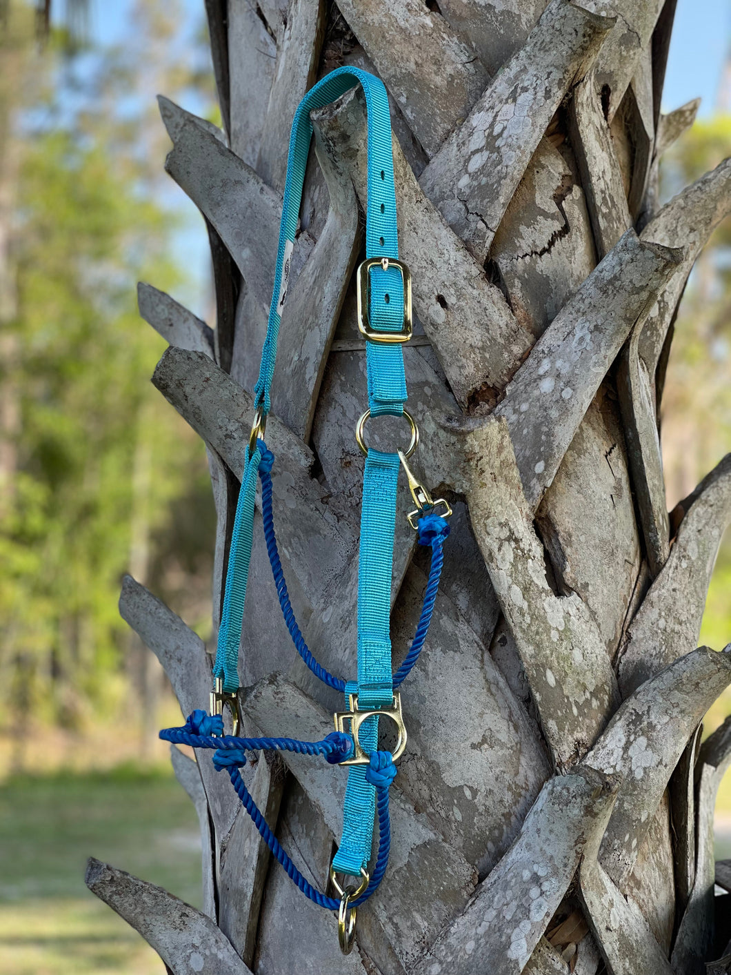 Average Hybrid Halter Turquoise & Blue