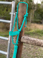 Turquoise Brute Muletape Halter