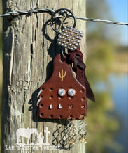 Earring Holder & Keychain