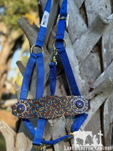 Blue Cheetah Halter Average